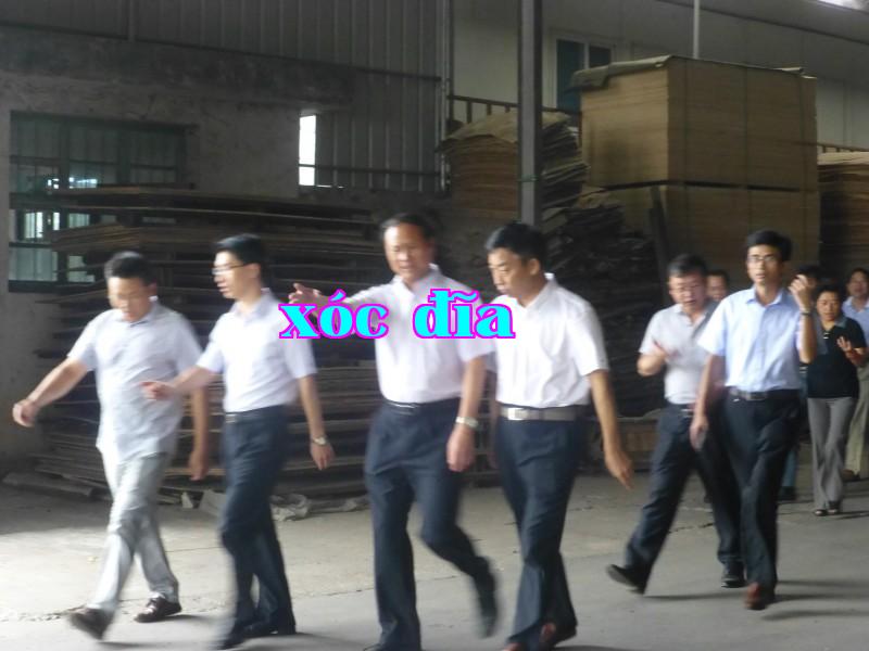 Lãnh đạo toàn thể đoàn đại biểu huyện đến công ty thăm quan và chỉ đạo công việc