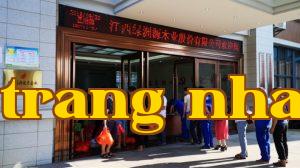 Trăng sáng vào giữa thu, tình cảm đầy tràn tại Green Oasis Source