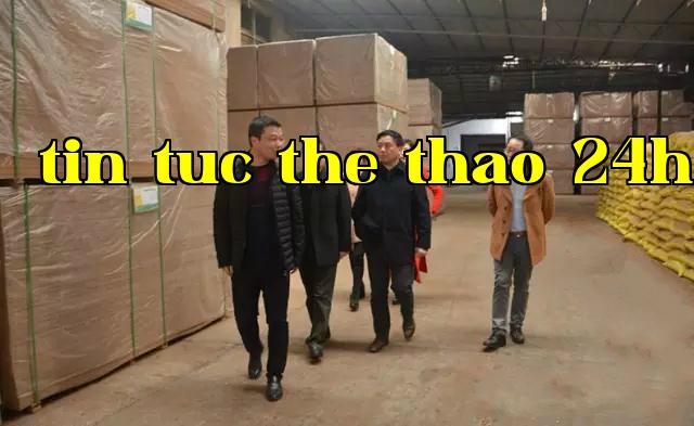 Phó giám đốc Sở Tài nguyên Môi trường thành phố Gia An, ông Vương Dũng, đến công ty chúng tôi kiểm tra và hướng dẫn công tác