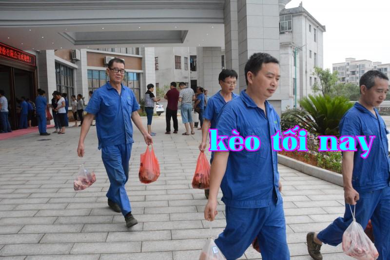 Nguồn Oasis Hương Lá Treo Quà Nhiều