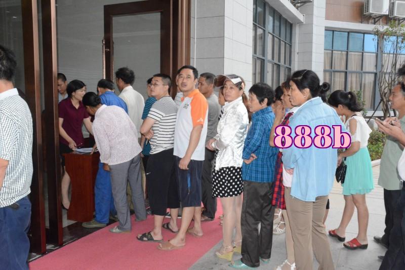 Nguồn Oasis Hương Lá Treo Quà Nhiều