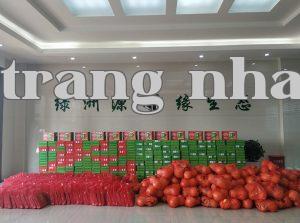 Trăng sáng vào giữa thu, tình cảm đầy tràn tại Green Oasis Source